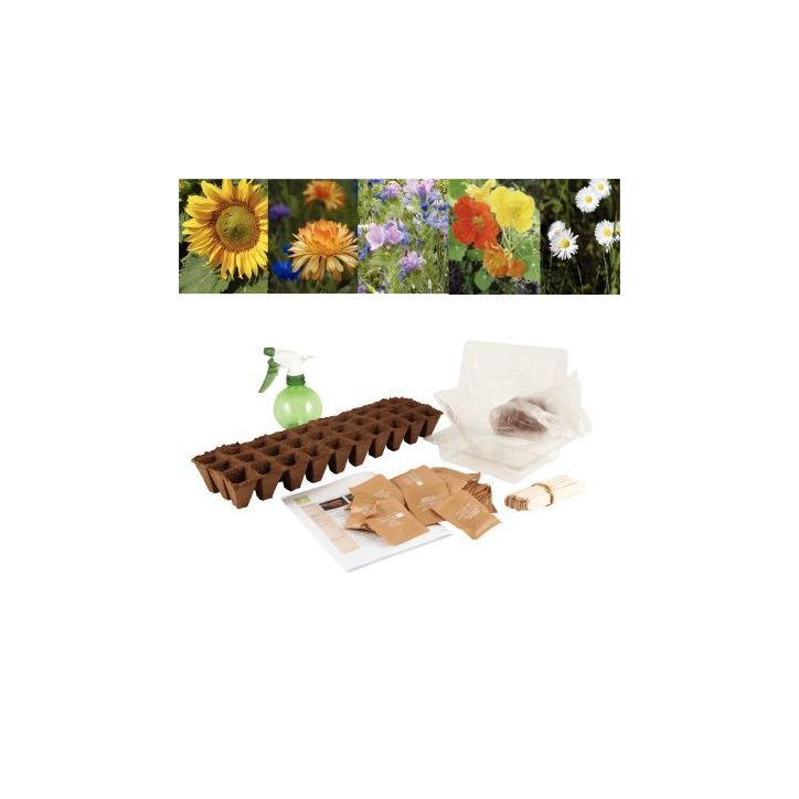 Carton de 30 sachets de graines de fleurs 026832