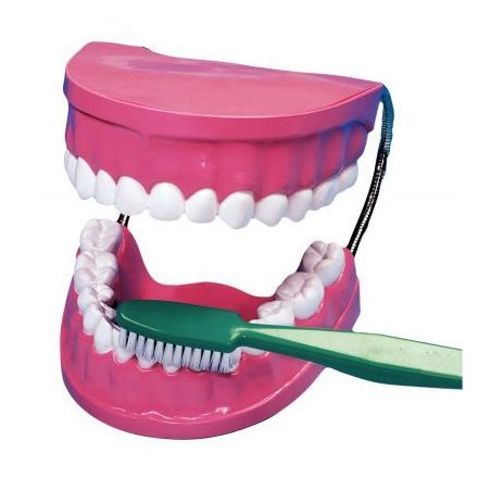 Achetez La bouche - les dents + brosse à  dent géante 2038 pas cher sur Ma Rentrée Scolaire