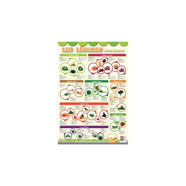 Poster Pédagogique en PVC 76x52cm - Thème Les Légumes PAPPOSTLEGUMES