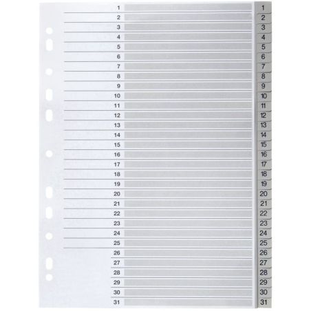 Article scolaire 305668