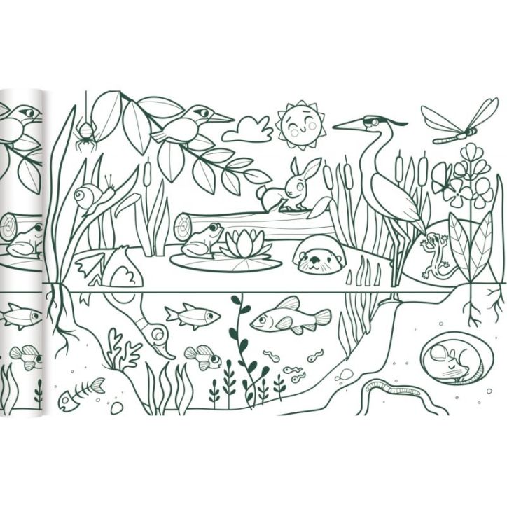 Rouleau fresque à  colorier thème de l'écosystème GY078 C