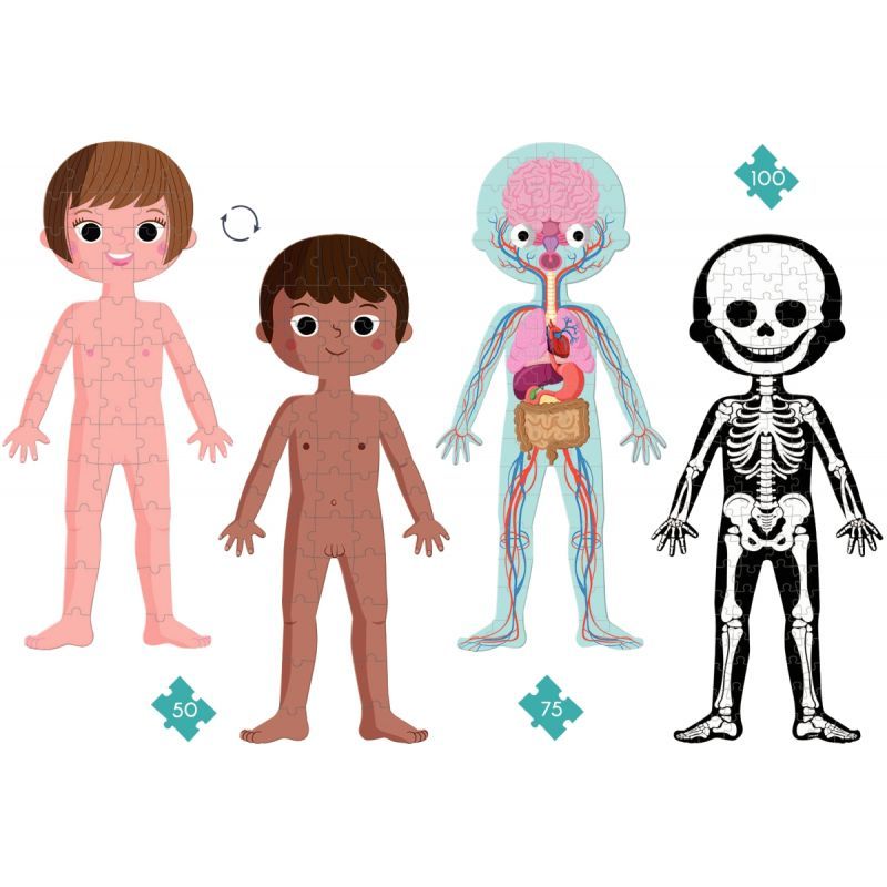 Article scolaire 884073 Article scolaire 884073