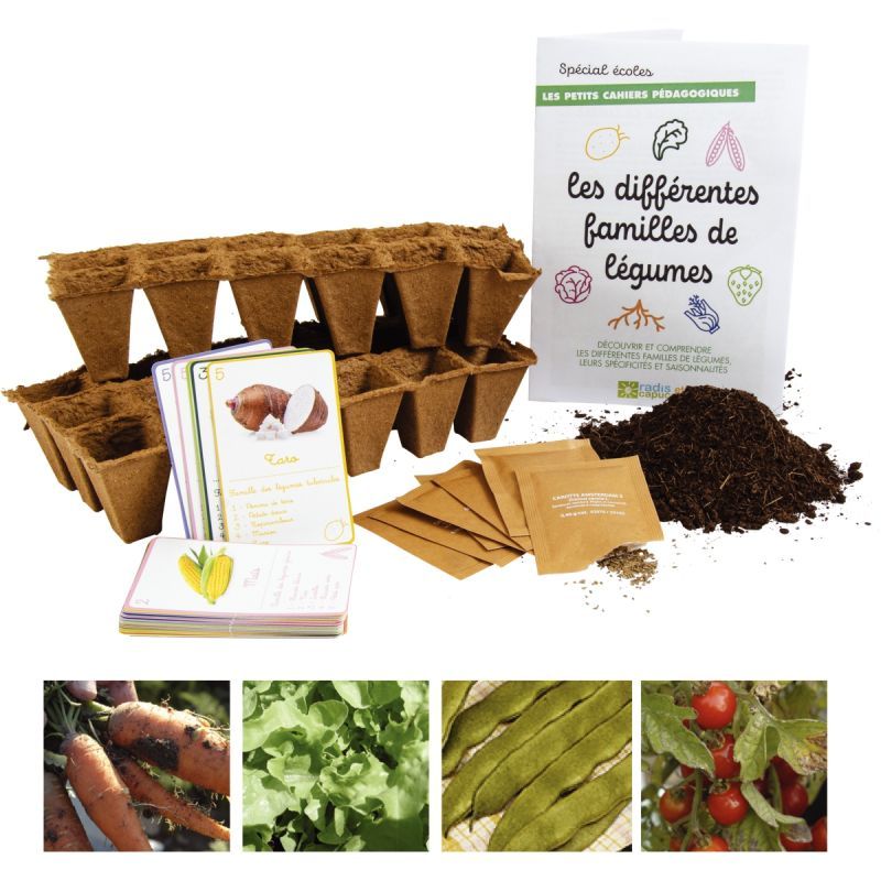 Article scolaire 148364 Article scolaire 148364