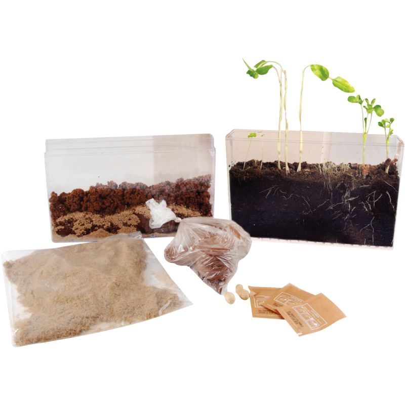 Article scolaire 581835 Article scolaire 581835