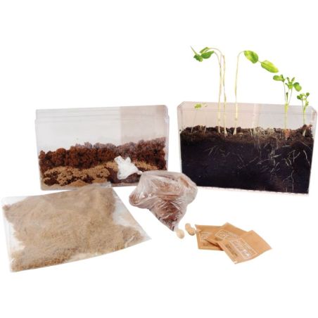 Article scolaire 581835