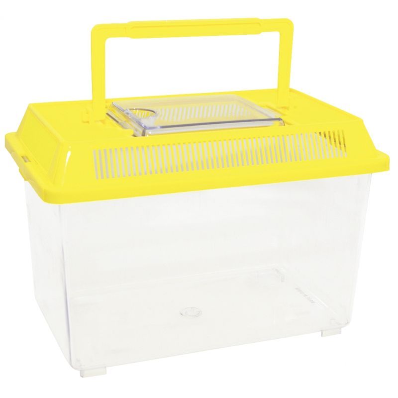 Article scolaire 229326 Article scolaire 229326