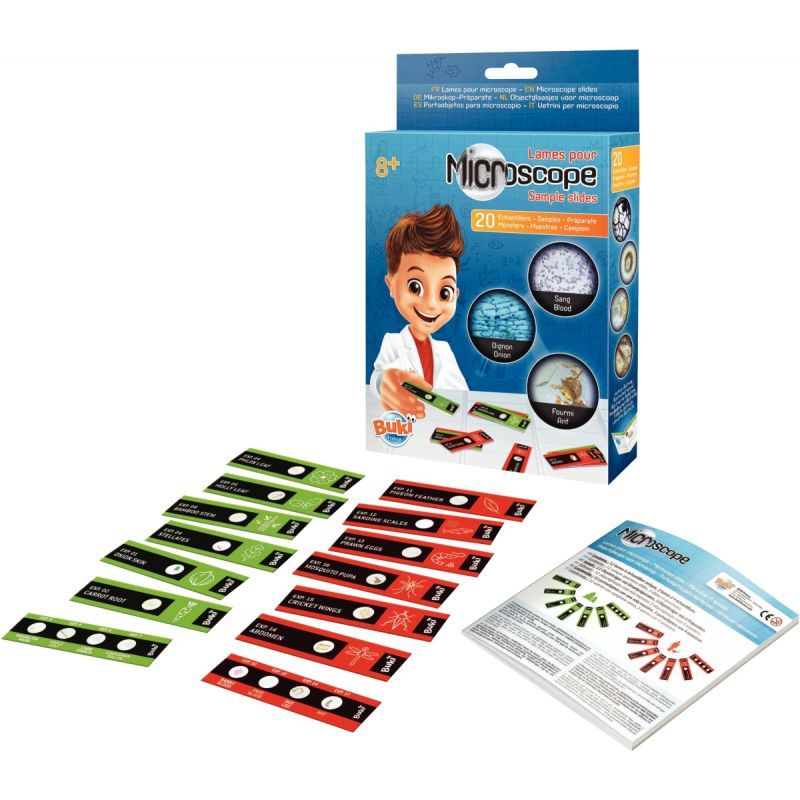 Article scolaire 277343 Article scolaire 277343