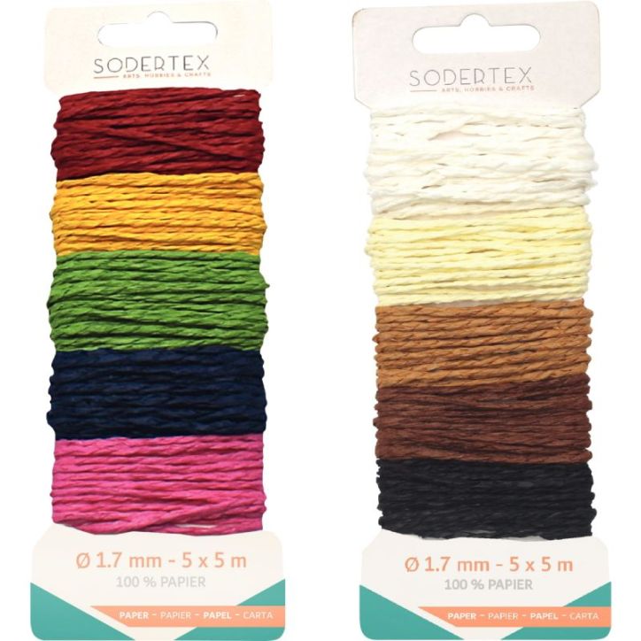 Lot de 2 cartes 5x5mètres de fil papier  coloris assortis L799079