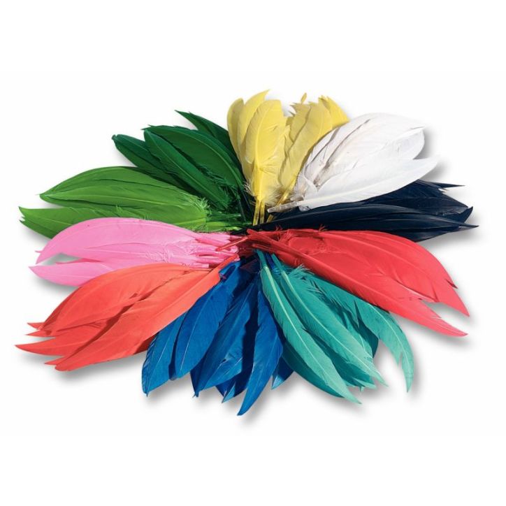 Sachet de 100 grammes de plumes d'indien couleurs assorties 55109