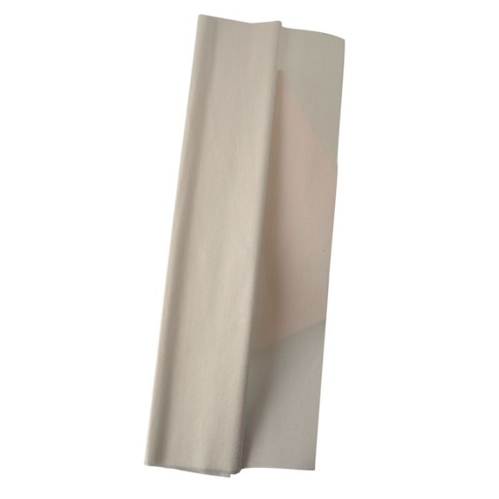 Paquet de 10 feuilles crépon supérieur 250x50 blanc 15902