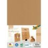Paquet de 100 feuilles kraft 120 grammes A4 691/4/98